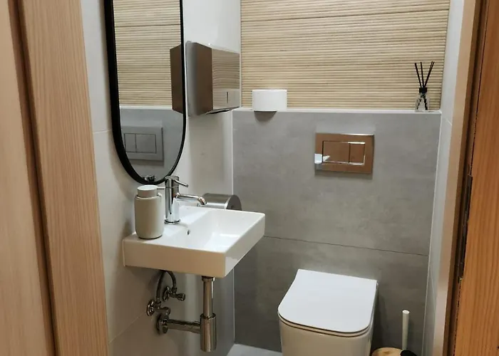 ホテル Rekliniec ミシレニツェ